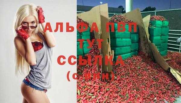 мяу мяу мука Баксан