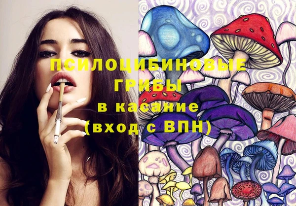 СК Балахна