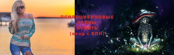СК Балахна
