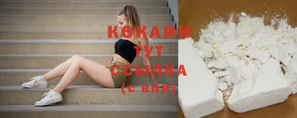 мяу мяу мука Баксан