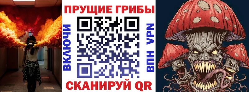 сайты даркнета наркотические препараты  Лыткарино  Псилоцибиновые грибы GOLDEN TEACHER 